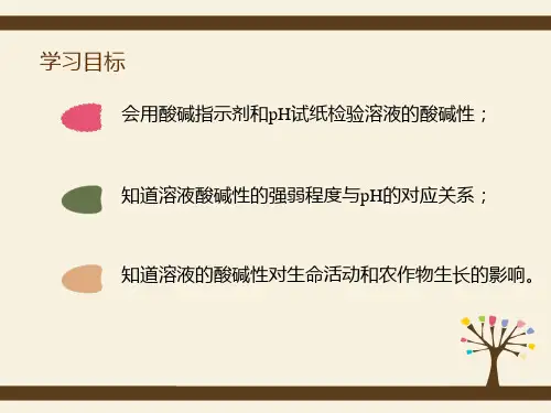 酸性溶液和碱性溶液课件.ppt