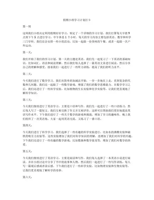 假期小组学习计划打卡