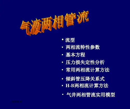 气液两相管流教材
