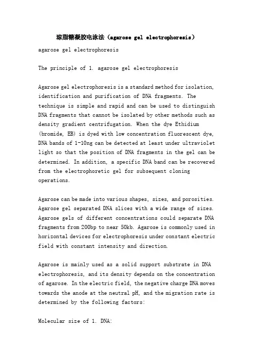 琼脂糖凝胶电泳法（agarosegelelectrophoresis）