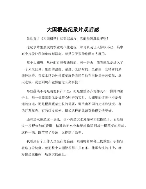 大国根基纪录片观后感