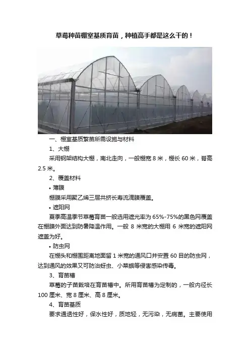 草莓种苗棚室基质育苗，种植高手都是这么干的！