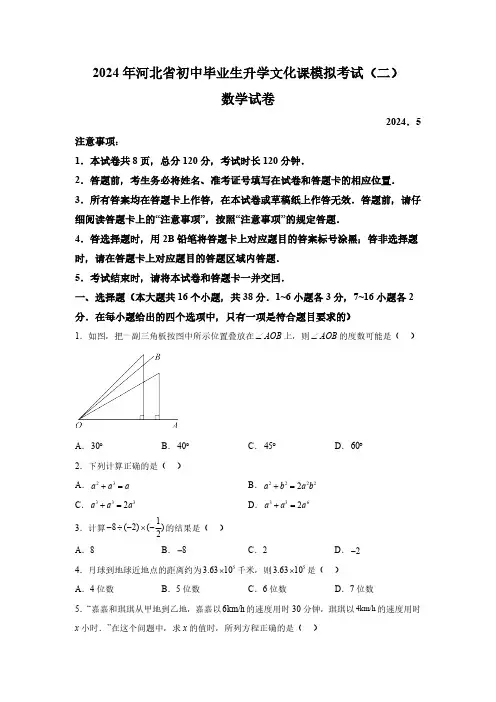 2024年河北省邯郸市广平县中考二模数学试题(含解析)