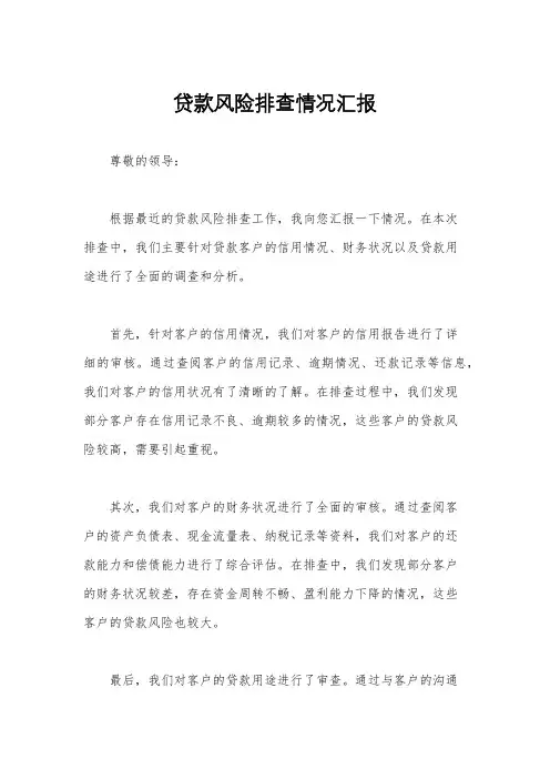 贷款风险排查情况汇报