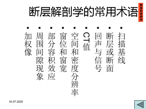 71颅脑断层解剖学(头颈部)PPT课件