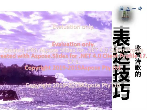高中语文鉴赏诗歌的 表达技巧(共26张PPT)共24页文档