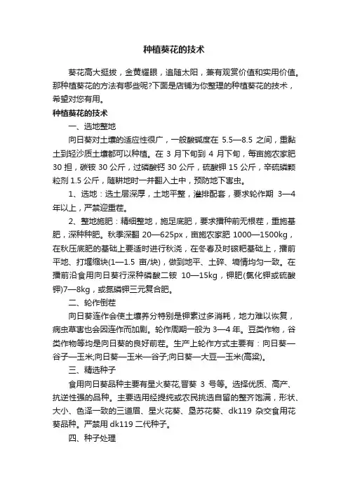 种植葵花的技术