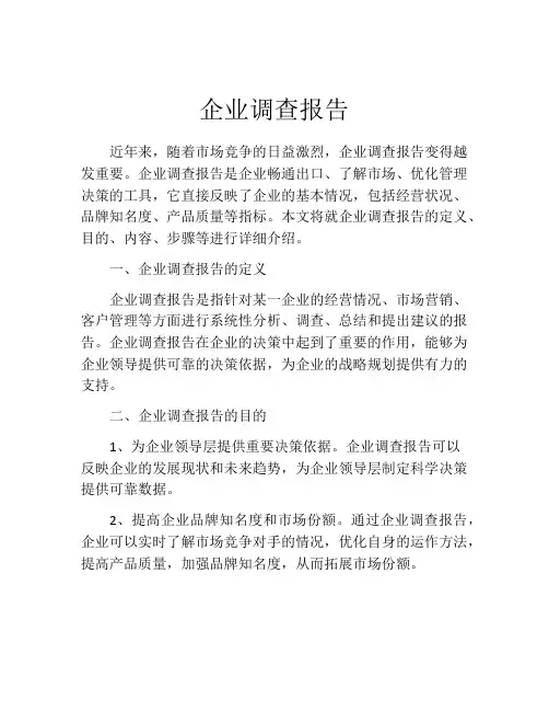 企业调查报告