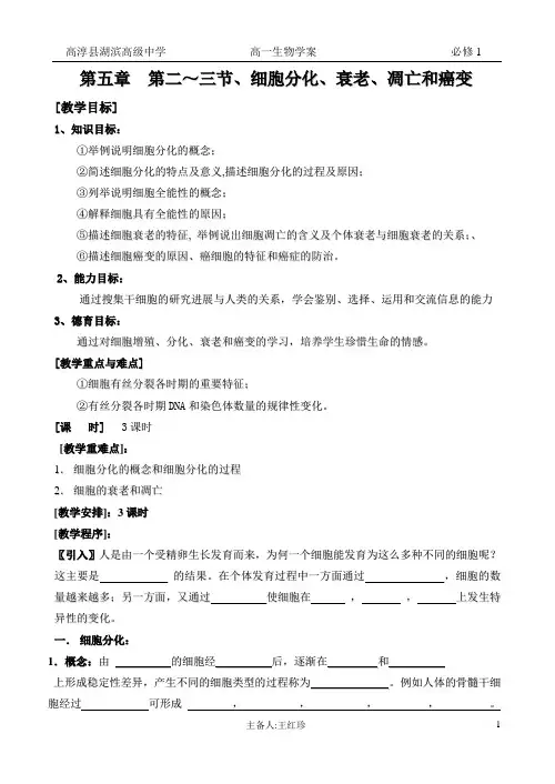 5—2、细胞分化、衰老、凋亡和癌变