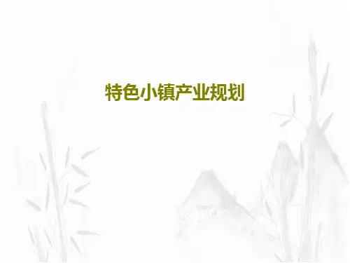 特色小镇产业规划25页PPT