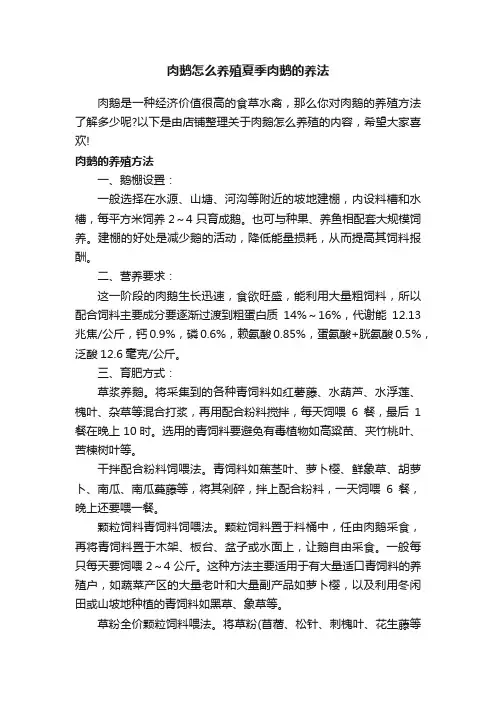 肉鹅怎么养殖夏季肉鹅的养法