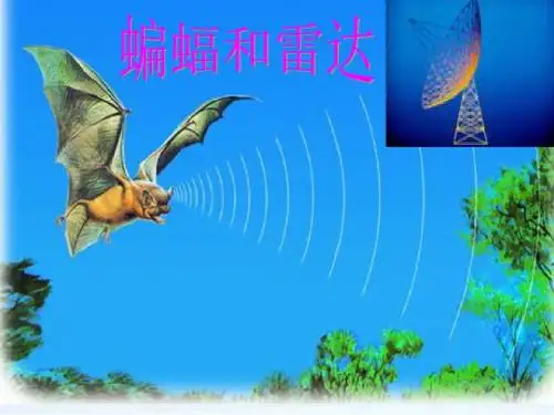 新课标人教版小学四年级语文下册：11、蝙蝠和雷达PPT、优质教学课件