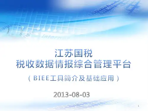BIEE工具简介及基础应用(最新)