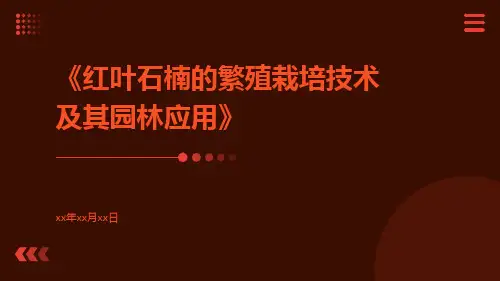 红叶石楠的繁殖栽培技术及其园林应用