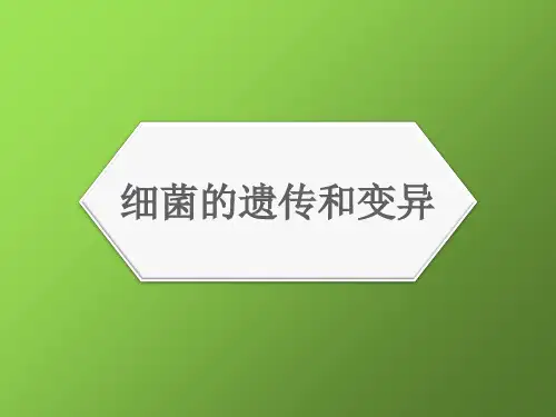 医学微生物学PPT课件 细菌的遗传和变异