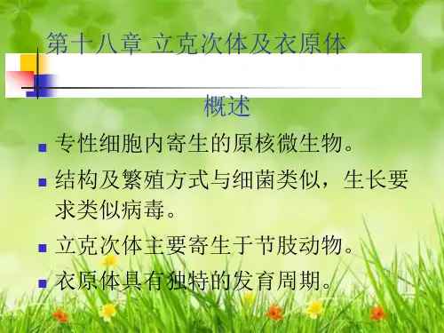 课件：立克次氏体及衣原体(2011)