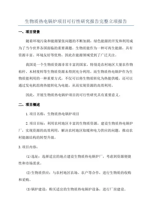 生物质热电锅炉项目可行性研究报告完整立项报告