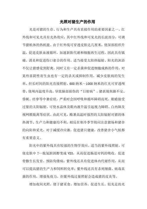 光照对猪生产的作用