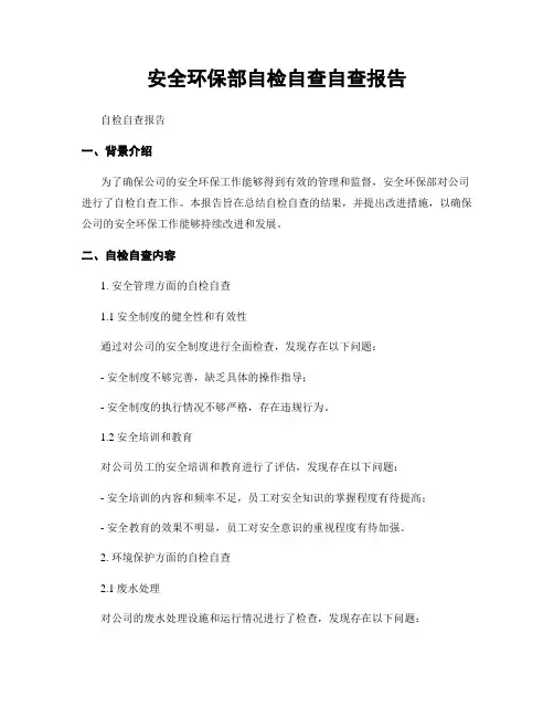 安全环保部自检自查自查报告