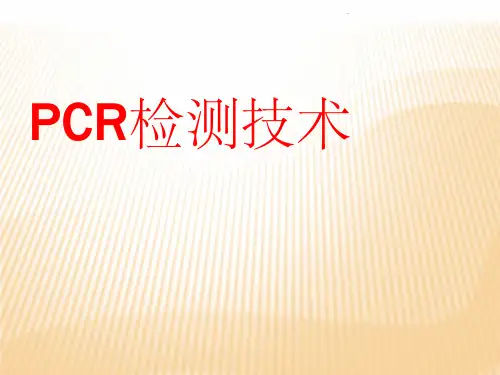 PCR检测技术ppt课件