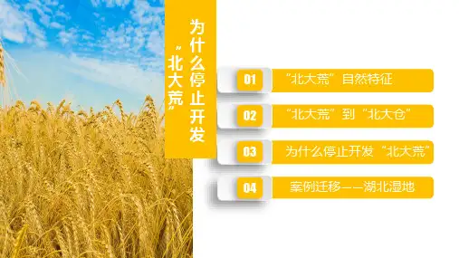 人教版高二地理必修三第二章 问题研究《为什么停止开发“北大荒”》实用宽屏课件(共32张PPT)