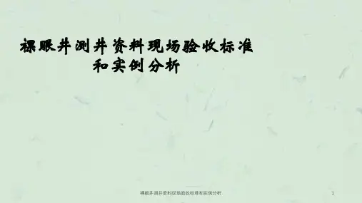 裸眼井测井资料现场验收标准和实例分析课件