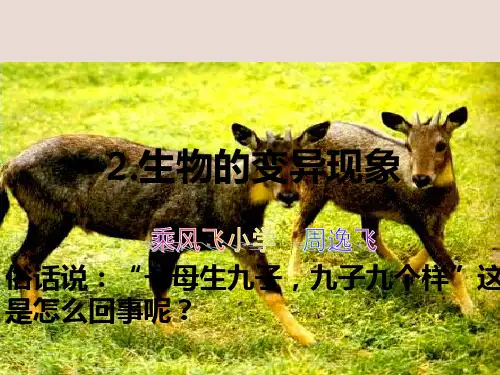 苏教版六年级下册科学《生物变异现象》教案