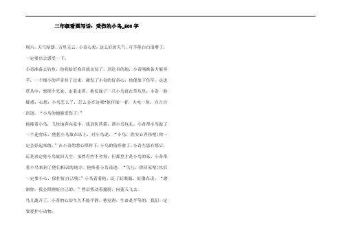 二年级看图写话：受伤的小鸟_500字