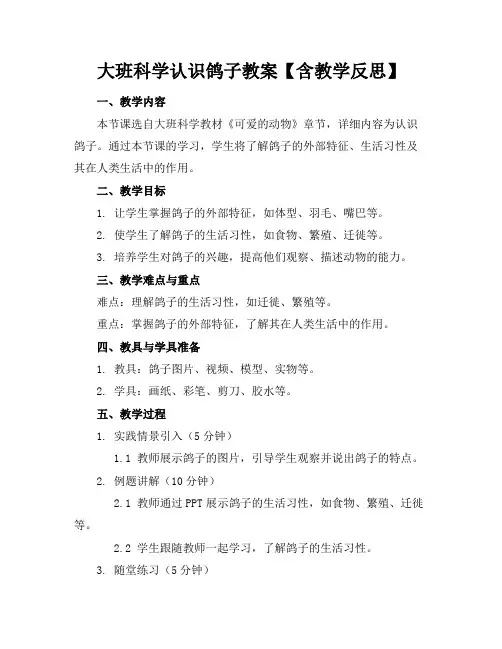 大班科学认识鸽子教案【含教学反思】