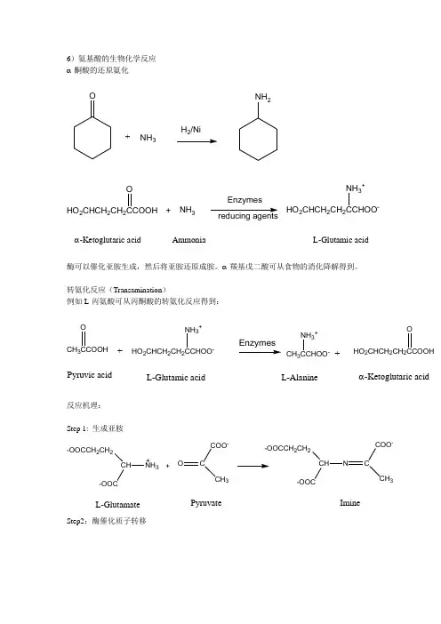 氨基酸的生化反应