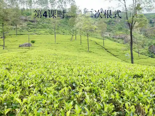 中考数学总复习 第一章 数与式 第4课时 二次根式课件