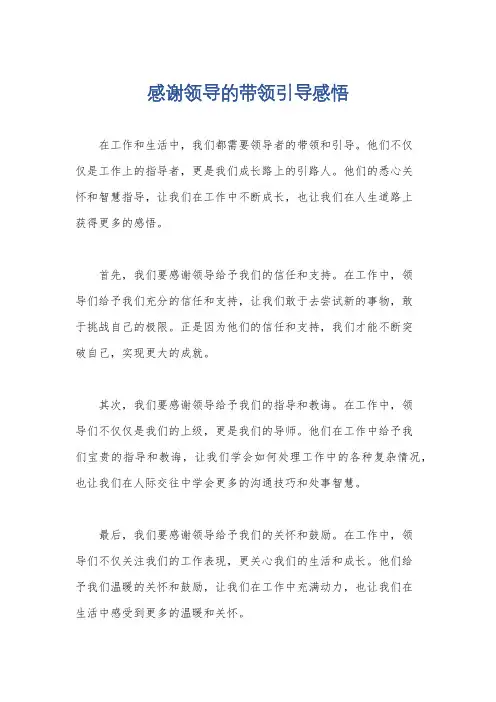 感谢领导的带领引导感悟