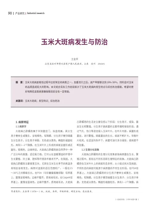 玉米大斑病发生与防治