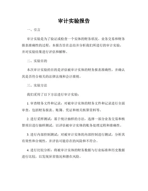 审计实验报告