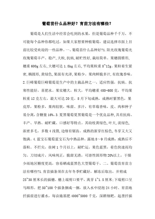 葡萄苗什么品种好？育苗方法有哪些？