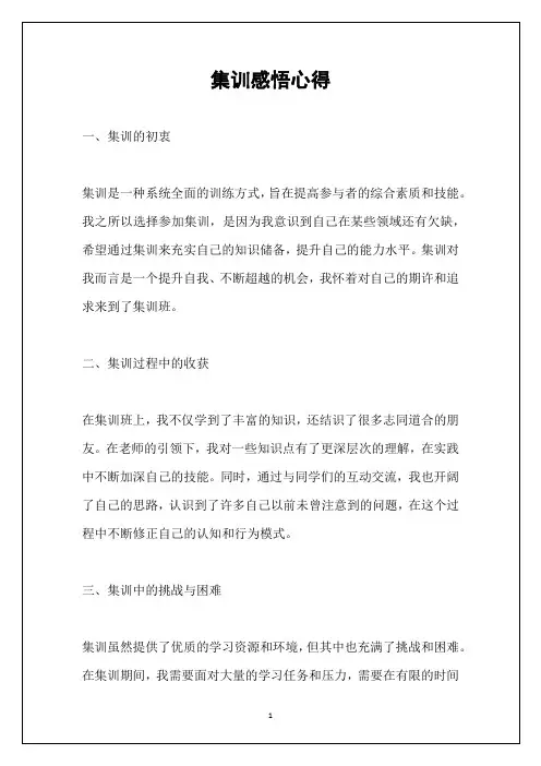 集训感悟心得