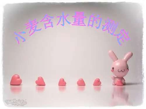 小麦含水量的测定