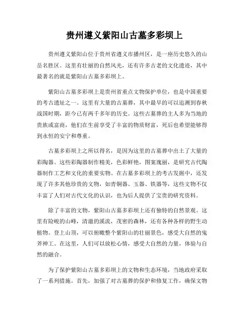 贵州遵义紫阳山古墓多彩坝上