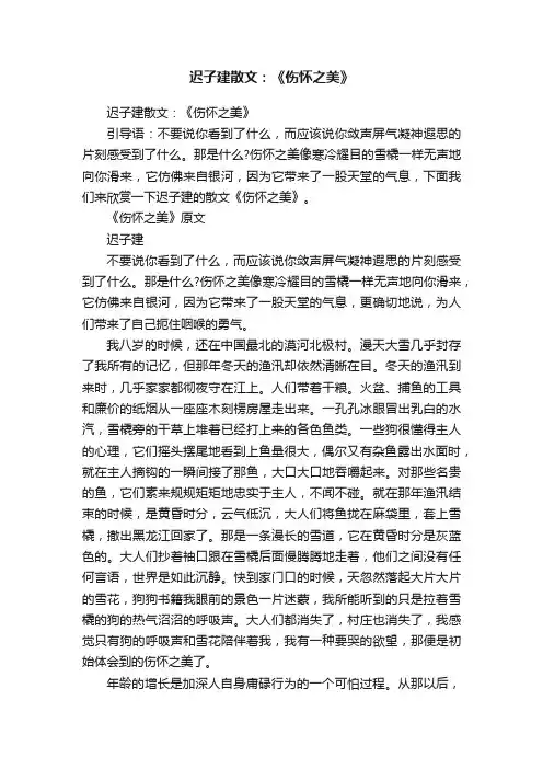 迟子建散文：《伤怀之美》