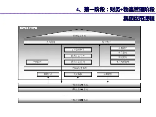 浪潮国强的集团财务介绍