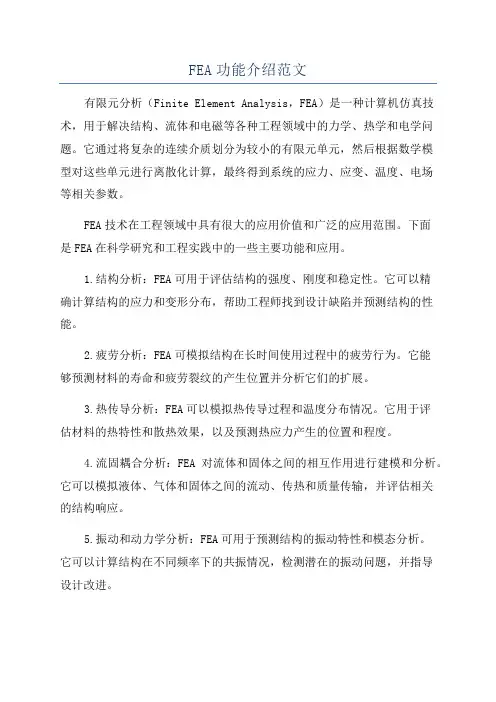 FEA功能介绍范文