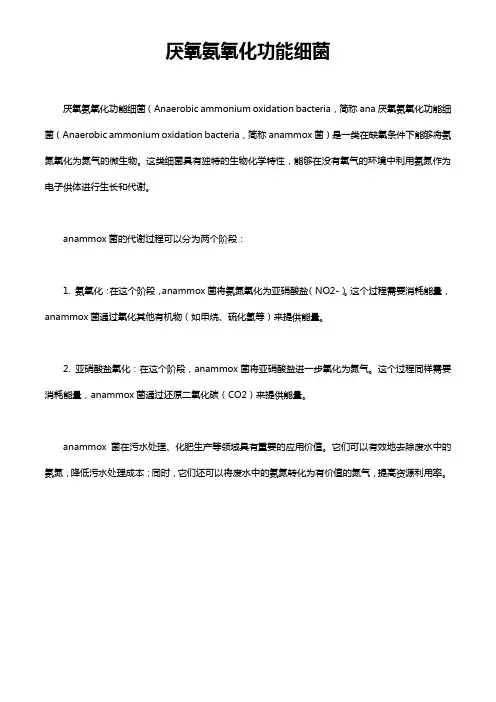 厌氧氨氧化功能细菌