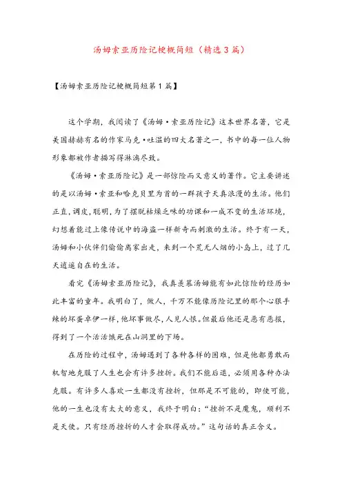 汤姆索亚历险记梗概简短(精选3篇)
