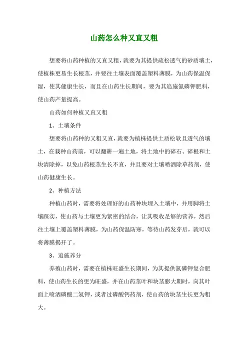 山药怎么种又直又粗