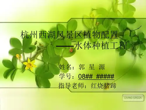 杭州西湖风景区植物配置 水体种植工程