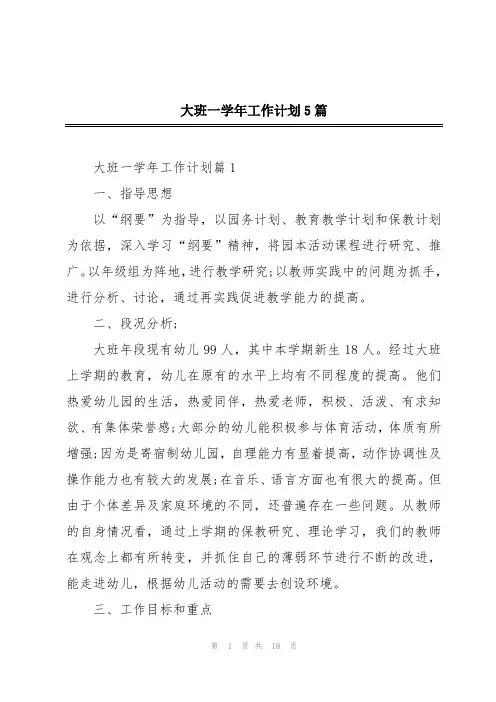 大班一学年工作计划5篇