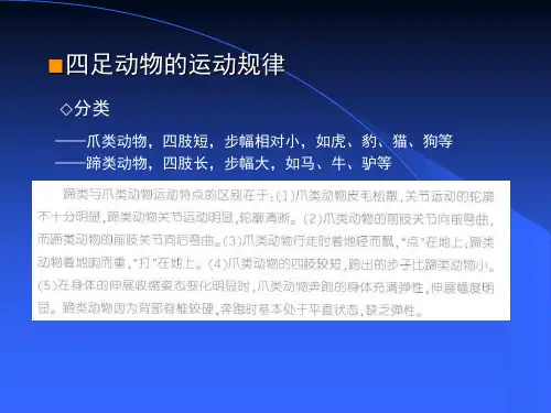 第六讲 动画运动规律分析2PPT课件