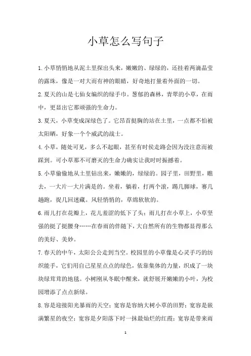 小草怎么写句子