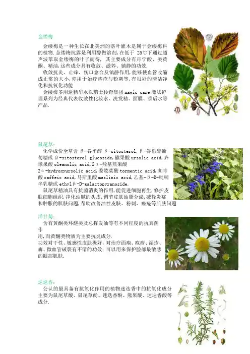 化妆品成分介绍