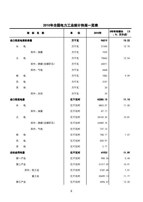 2010年电力工业统计快报(1)